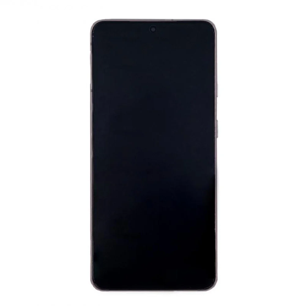 Samsung Galaxy S21 5G (G991B) (GH82-27255B / 27256B) Display Complete (No Front Camera) - Phantom Violet