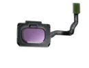 Samsung Galaxy S9 (G960F) / Galaxy S9 Plus (G965F) Home Button Flex Cable + Button - Purple